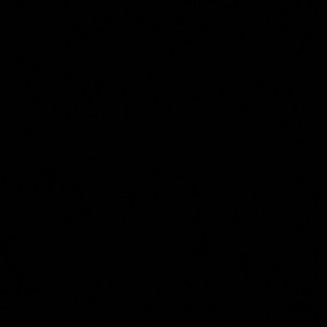 Meet your Posher, Beatrice